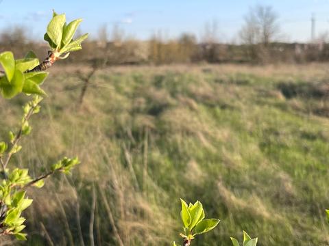 участок по адресу 