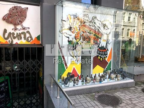 комерційна за адресою Велика Житомирська вул., 28