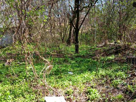 ділянка за адресою Академіка Кащенка вул.