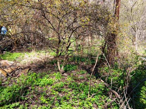 ділянка за адресою Академіка Кащенка вул.