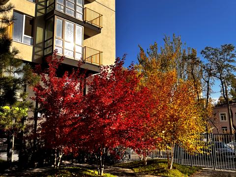 квартира по адресу Ісмаїла Гаспринського ул. (Сормовська), 3