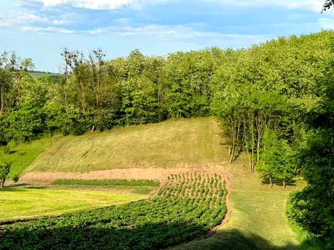 ділянка за адресою 