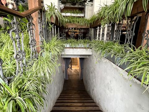 комерційна за адресою Яворницького вул., 6