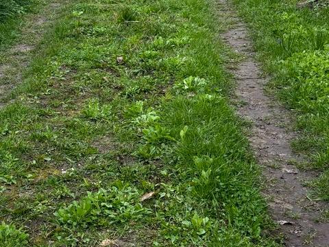 будинок за адресою ст Текстильщик