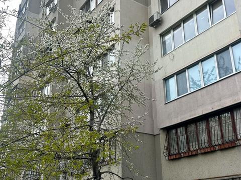 квартира по адресу Михайловская пл., 12/14