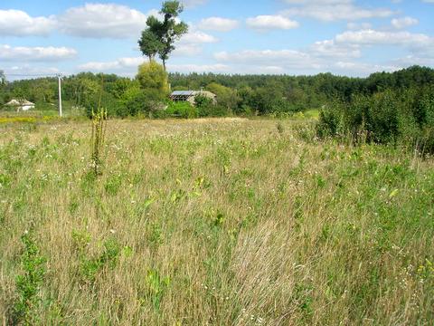 ділянка за адресою Шевченка