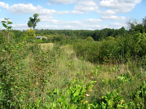 ділянка за адресою Шевченка