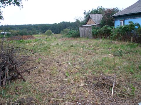 ділянка за адресою Шевченка