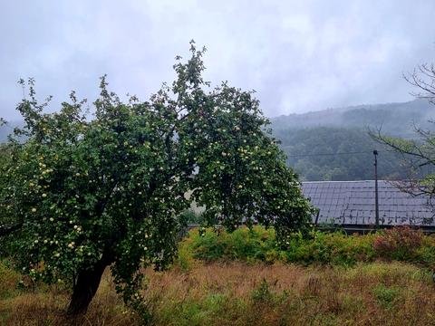 будинок за адресою с. Гребенів, Нема