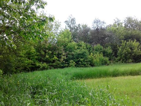 дом по адресу Миру