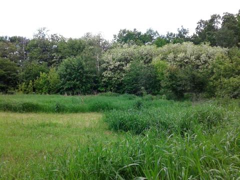 дом по адресу Миру