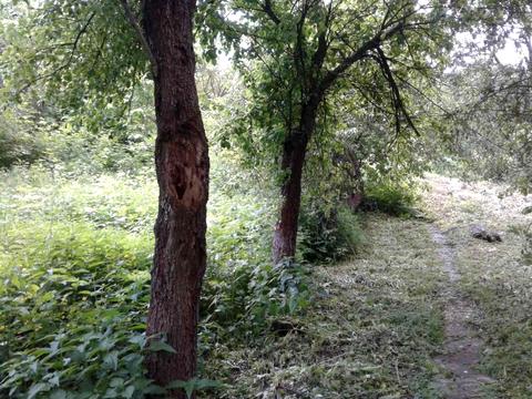 дом по адресу Миру