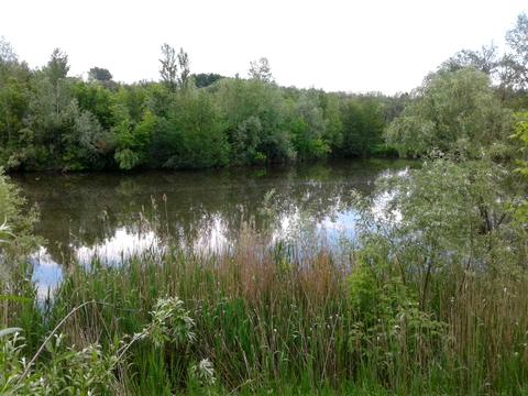 дом по адресу Миру