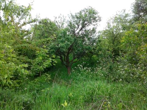 дом по адресу Миру