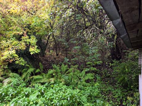 дом по адресу Миру