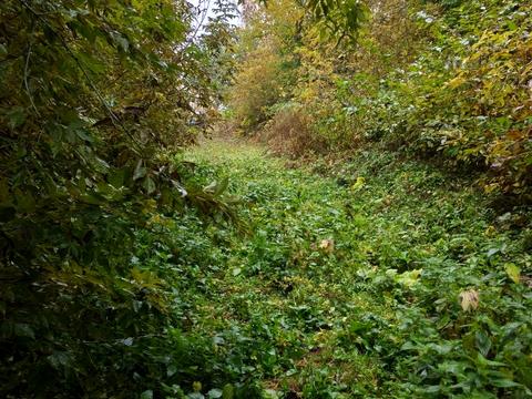 дом по адресу Миру