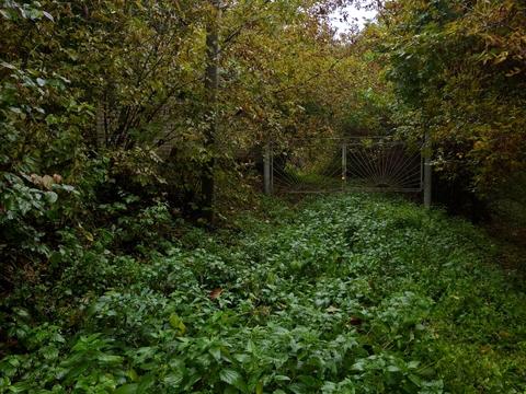 дом по адресу Миру