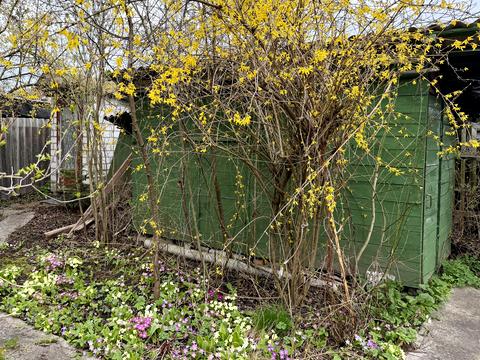 будинок за адресою смт. Глеваха, Садова