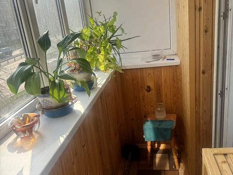 квартира за адресою Чоколівський бульв., 27