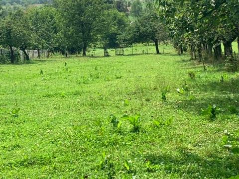 дом по адресу Лесі Українки ул.