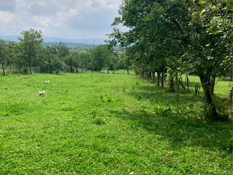 дом по адресу Лесі Українки ул.