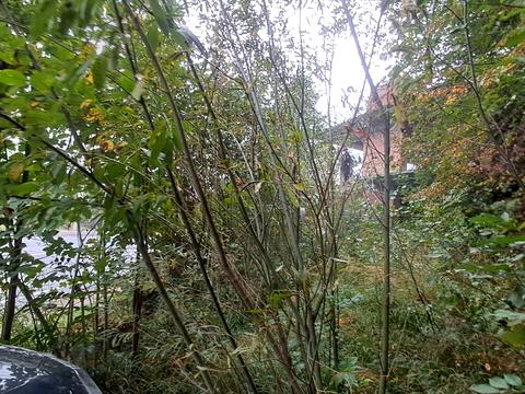 ділянка за адресою Свободи вул., 381