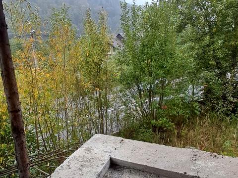 ділянка за адресою Свободи вул., 381