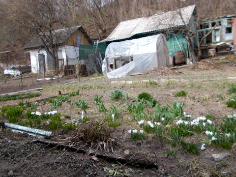 дом по адресу Кропивницкого ул., 25а