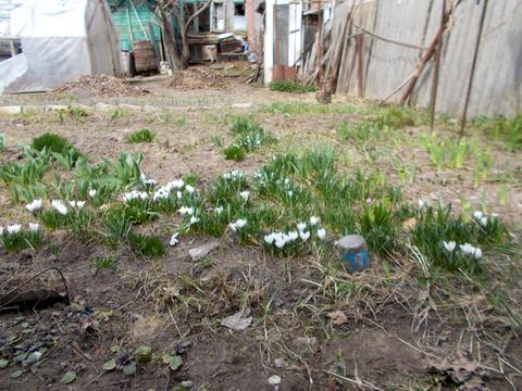 дом по адресу Кропивницкого ул., 25а