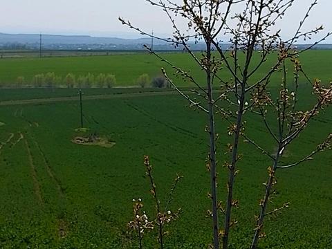 ділянка за адресою 