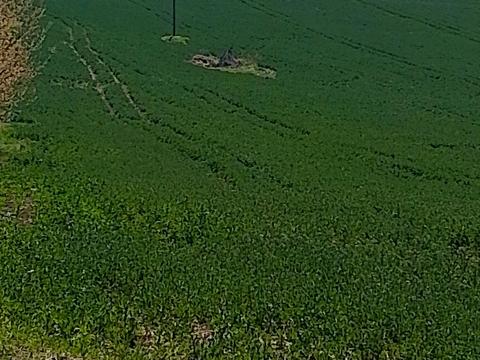 ділянка за адресою 