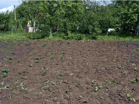 ділянка за адресою 