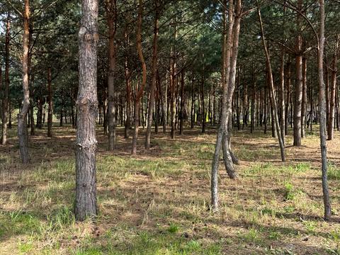 квартира за адресою Західна вул., 6