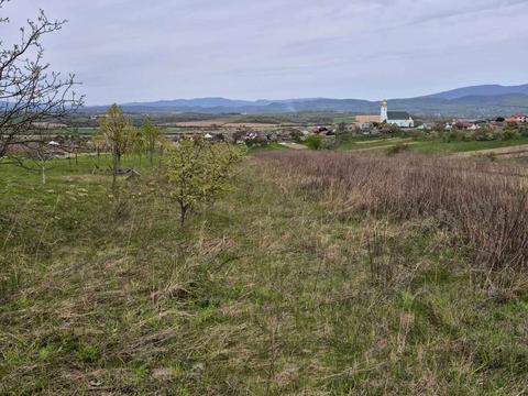 участок по адресу с. Залужье, 