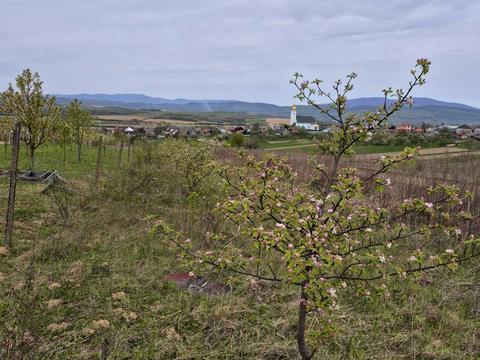 участок по адресу с. Залужье, 