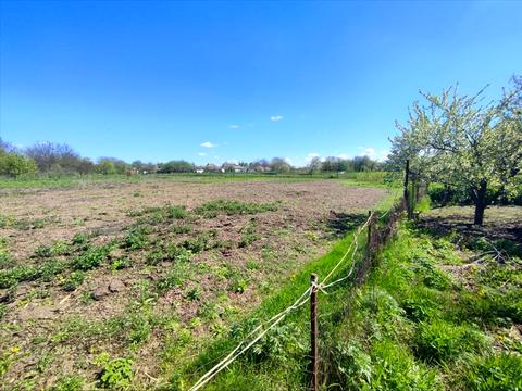 будинок за адресою Дорошенка