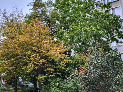 квартира за адресою Академіка Корольова вул., 85