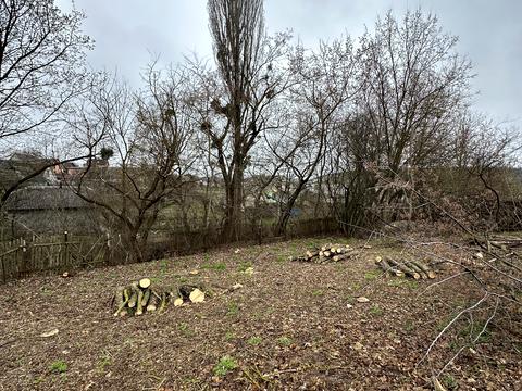 ділянка за адресою 