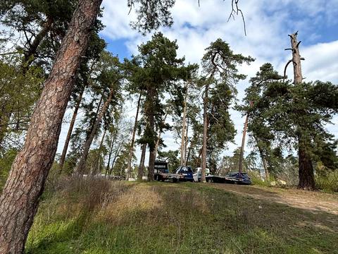 участок по адресу 