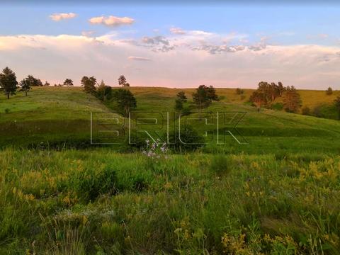 участок по адресу лісова, 1