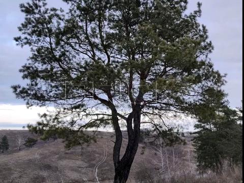 участок по адресу лісова, 1