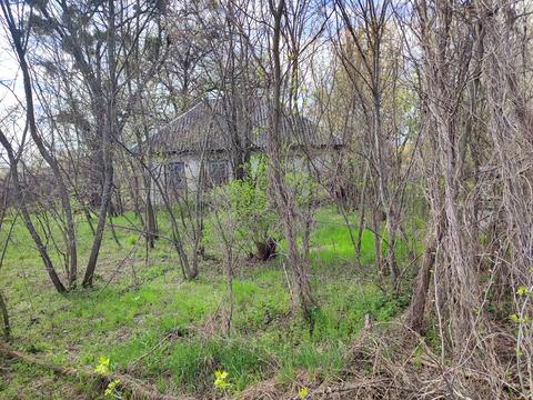 ділянка за адресою с. Мошни, Соборна