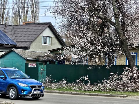 дом по адресу Петра Дорошенко ул. (Пацаєва), 19