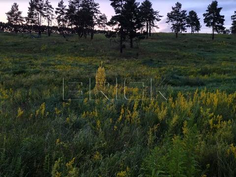 участок по адресу Васильковская ул., 11