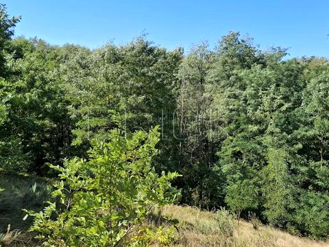 участок по адресу Васильковская ул., 11