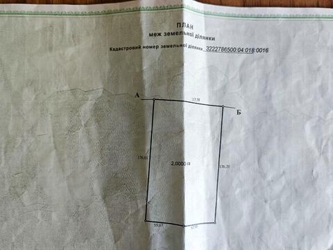 ділянка за адресою пугачова