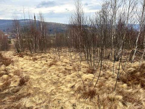 ділянка за адресою с. Корчин, 