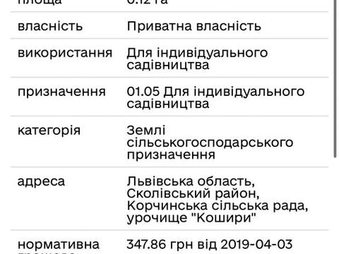 ділянка за адресою с. Корчин, 