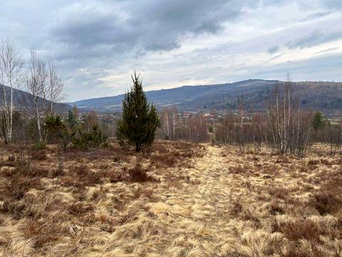 ділянка за адресою с. Корчин, 