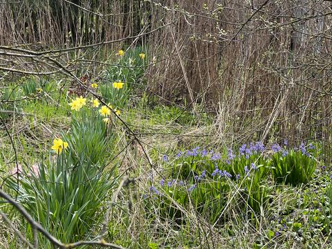 дом по адресу Набережна, 17